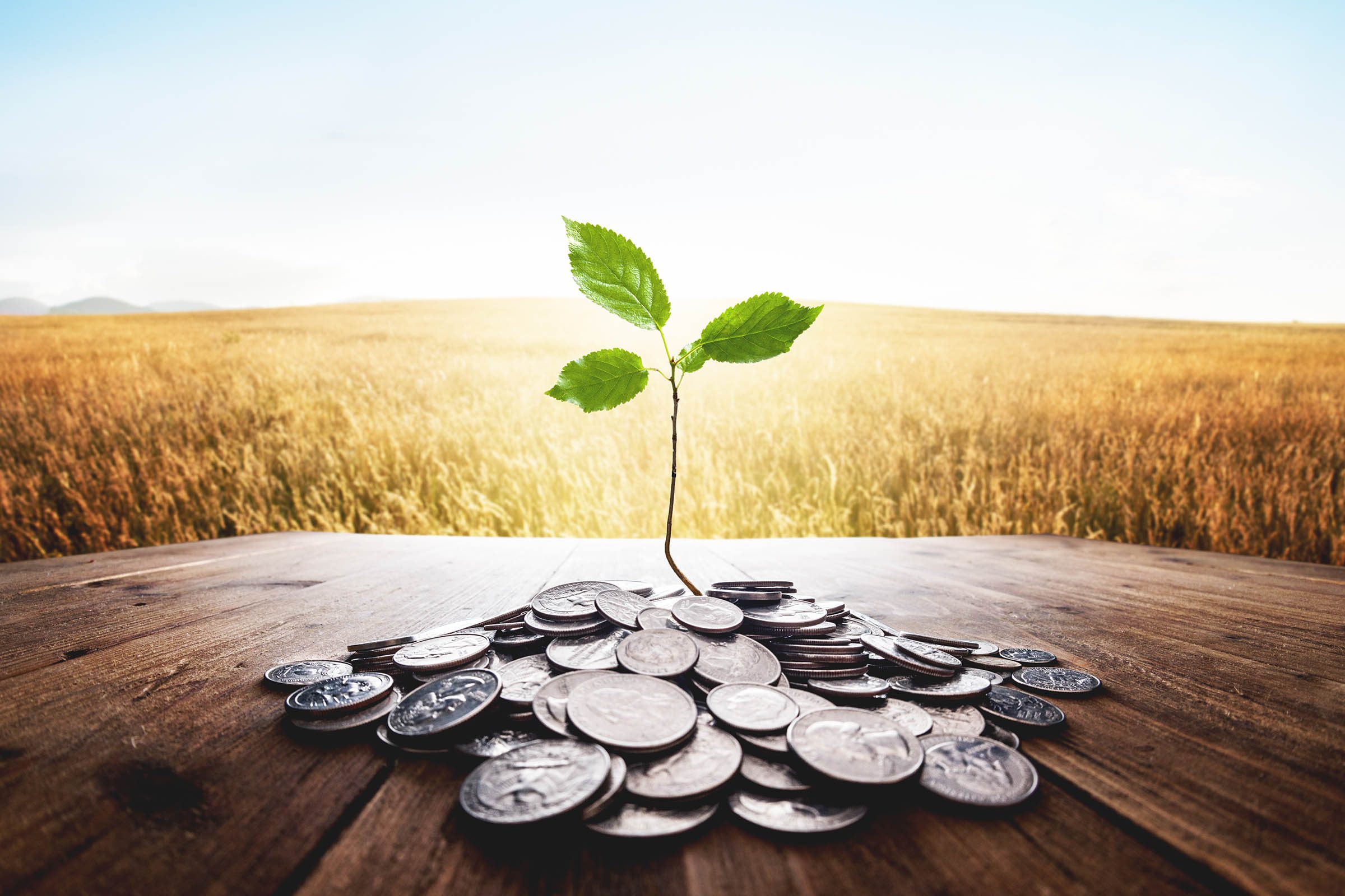 ¿Qué es una inversión financieramente sostenible? | BBVA España